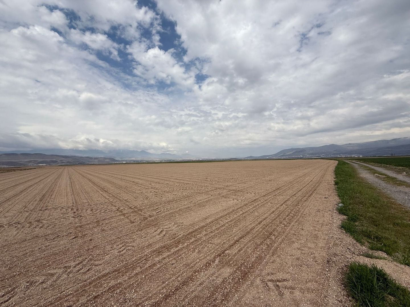 KAYSERİ DEVELİ SİNDELHÖYÜK MAHALLESİ YOLBATAN MEVKİİNDE SATILIK TARLA